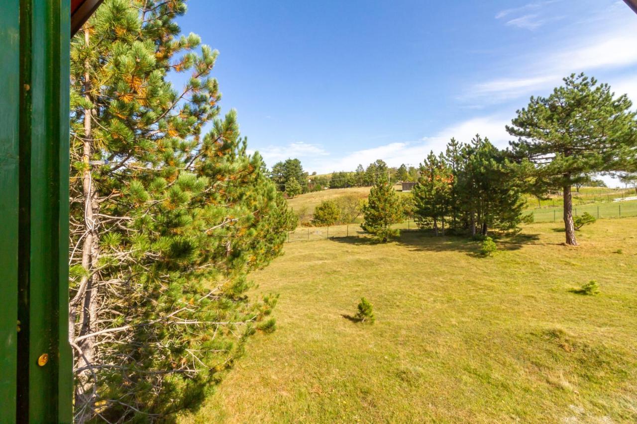 Brvnara Kovacevic Villa Zlatibor Exteriör bild