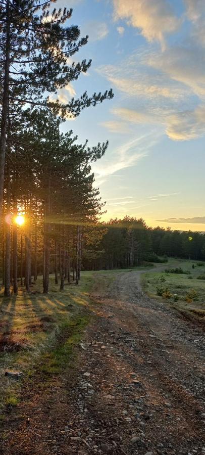 Brvnara Kovacevic Villa Zlatibor Exteriör bild